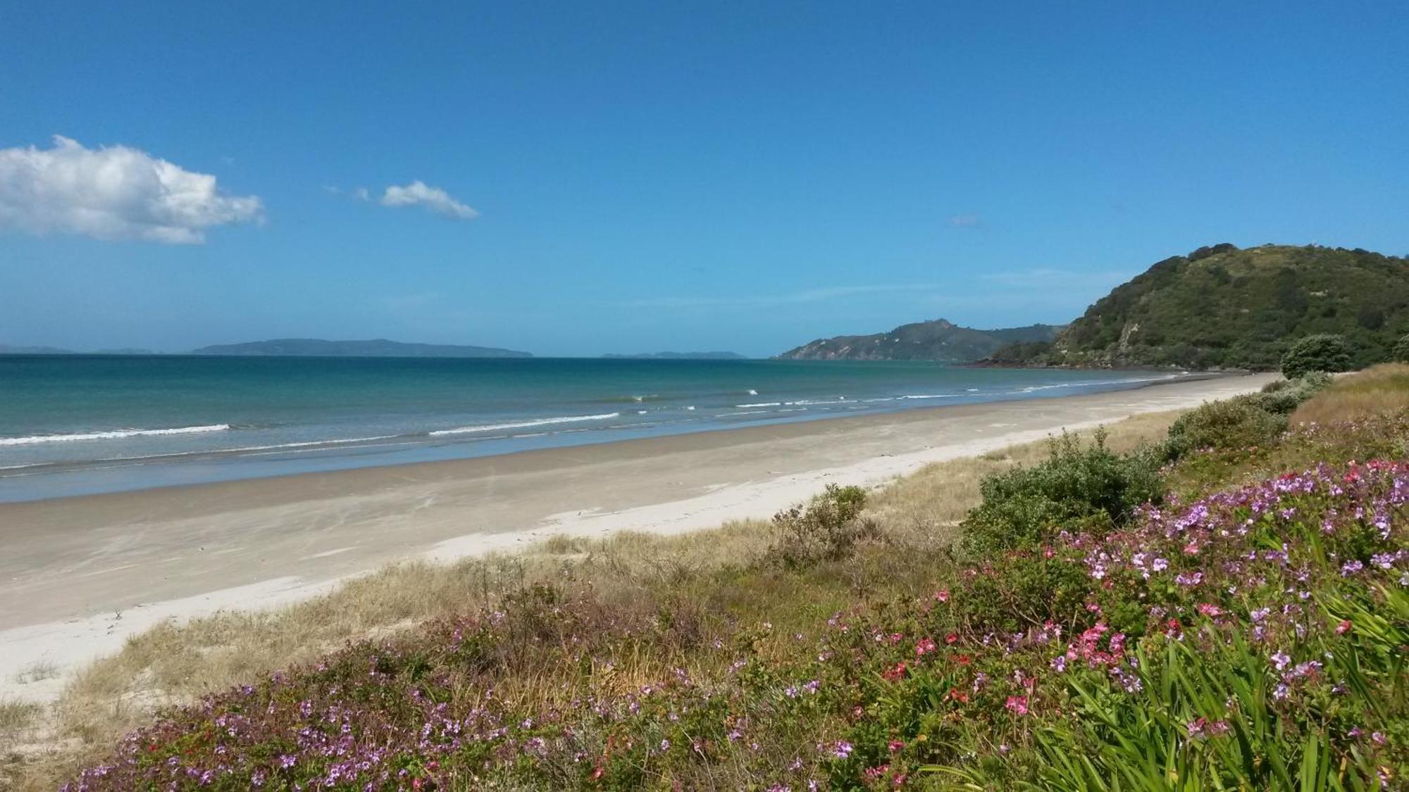 Waimaire Matarangi Bed & Breakfast ภายนอก รูปภาพ